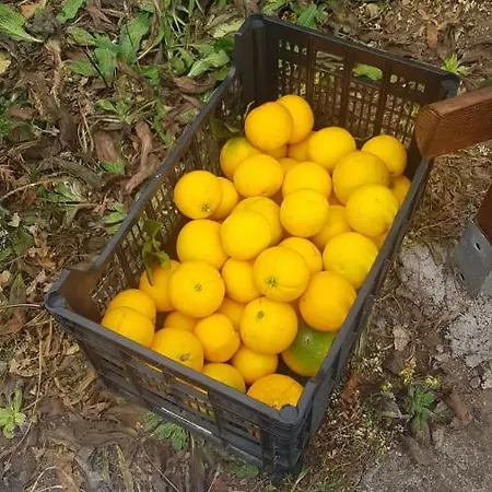 Finca Serpa 21 *