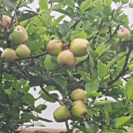 Finca Serpa 21 *